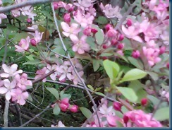2013-05-07 08.45.00 2013-05-07 08.45.00