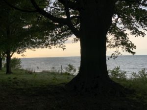 Park picnic