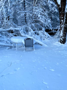 Snowstorm