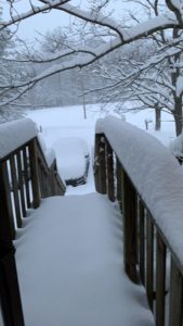 Snowstorm