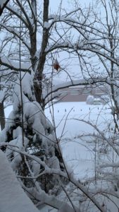Snowstorm