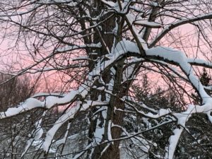 Snowstorm