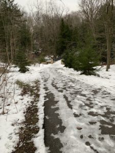 Park